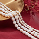 NBEADS 4 Strands about 134 Pcs Natural Cultured Freshwater Pearl Beads PEAR-NB0001-64-4
