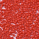 Baking Paint Glass Seed Beads X-SEED-S042-05A-05-3