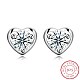 Exquisite 925 Sterling Silver Cubic Zirconia Stud Earrings EJEW-BB20047-1