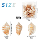 SUNNYCLUE Natural Conch Shell Beads BSHE-SC0001-02-2