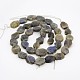 Nuggets Natural Frosted Labradorite Bead Strands G-N0156-16-2