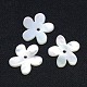 Натуральные белые бусины из ракушек SSHEL-I008-03-1