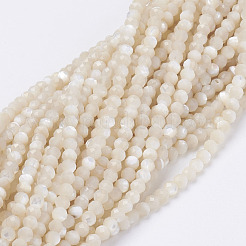 Нити бусин из натуральных ракушек G-E354-03