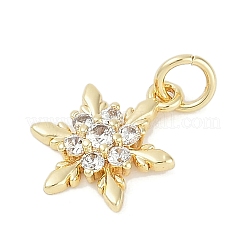 Стойки обшивки латунь микро проложить Циркон подвеску&nbsp;LS-KK-H509-12G-02