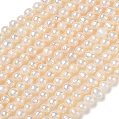天然養殖淡水パールビーズ連売り  グレード3 A  ポテト  ベージュ  4.8~5.2mm  穴：0.5mm  約78~79個/連  13.78~13.86''（35~35.2センチメートル）&nbsp;PA-CBAC463-38