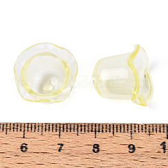 Transparentem Acrylperlenkappen&nbsp;LS-TACR-T028-58E