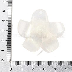 Подвески из непрозрачной смолы&nbsp;LS-FIND-M035-03B