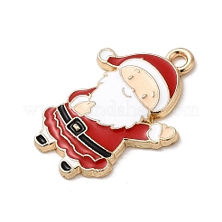 Подвески из эмали и сплава FIND-H055-17I-G01