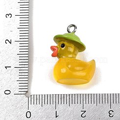 Подвески из непрозрачной смолы&nbsp;LS-FIND-I052-06P