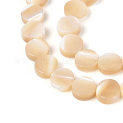 Нити бусин из натуральных трохоидных/трохус ракушек&nbsp;SSHEL-N041-03