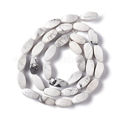 Природные Говлит бисер нитей G-L243B-21