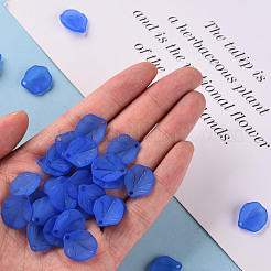 Прозрачные матовые акриловые подвески MACR-S371-02A-751