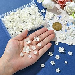 12 styles de capuchons de perles d'imitation en plastique abs et en résine&nbsp;DIY-CJ0002-40