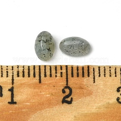 Natur Labradorit Cabochons&nbsp;G-A094-01A-11