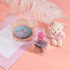 Прозрачная пластиковая подарочная упаковка для домашних животных CON-WH0052-6x6cm