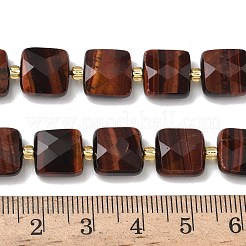 Природных тигровый глаз бисер нитей&nbsp;G-L642-L03-10mm-01