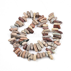 Натуральные бусины из аква терра яшмы G-T140-64