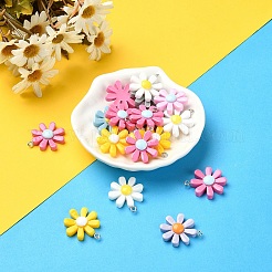 Подвески из непрозрачной смолы 20 шт.&nbsp;RESI-YW0001-62