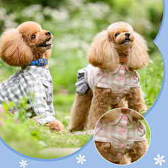 600 шт. BUTT-FG0001-20