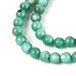 Eau douce naturelle de coquillage perles brins&nbsp;BSHE-T009A-01J