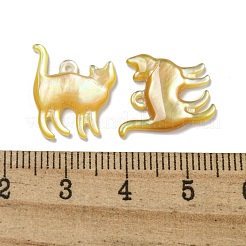 Подвески из натуральной желтой оболочки SSHEL-N038-05A-02