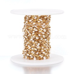 Ионное покрытие (ip) звеньевая цепь из нержавеющей стали 304 CHS-F002-A04