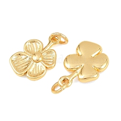 Латунь подвески&nbsp;KK-F927-28G