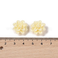 Синтетических коралловых бусин CORA-C001-01E