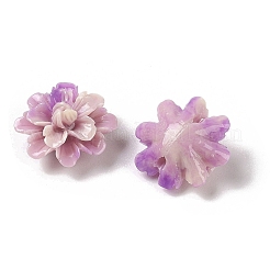 Синтетические бусины&nbsp;SHEL-C006-01C