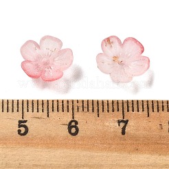 Акриловый шарик крышки OACR-Z028-03C