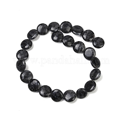 Натуральные нити бус из ларвикита G-U018-I08-01