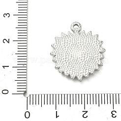 Подвески из нержавеющей стали 304&nbsp;STAS-C167-09B-P