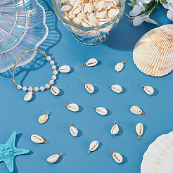 120 шт. подвески из натуральной ракушки каури PALLOY-ME00017