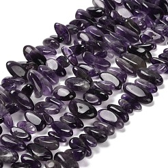 Природный аметист нитей бисера G-C253-05