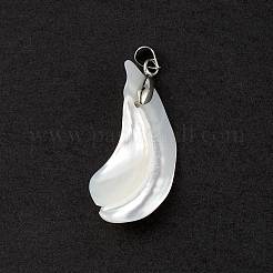Натуральная ракушка трохида / подвески из ракушки трохуса SSHEL-M021-13