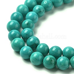 Бусины из натурального магнезита круглые нити TURQ-G148-03-6mm