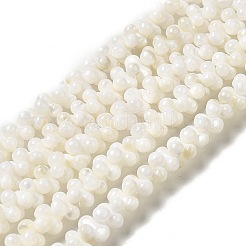 Нити бусин из натуральных пресноводных ракушек BSHE-E026-17