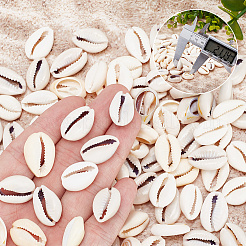 200 г 2-х цветных натуральных бусин из ракушек каури BSHE-AR0001-04