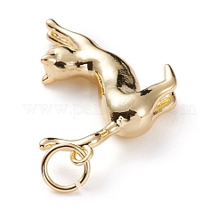 Латунные подвески&nbsp;KK-C100-25G