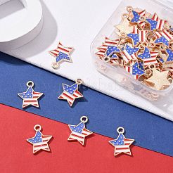 50шт День независимости светлые позолоченные подвески из сплава с эмалью&nbsp;ENAM-LS0001-08LG