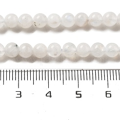 Круглые бусины из натурального радужного лунного камня&nbsp;G-M304-06-5mm