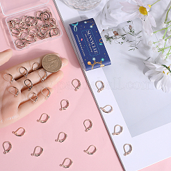 60 шт. фурнитура для сережек из нержавеющей стали 304 STAS-SC0006-44