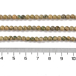 Нити бусин из натурального камня вердит&nbsp;G-P530-B07-01