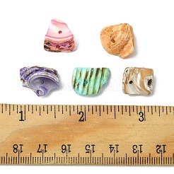 125 г 5-х цветов натуральных бусин-ракушек&nbsp;BSHE-FS0001-06A