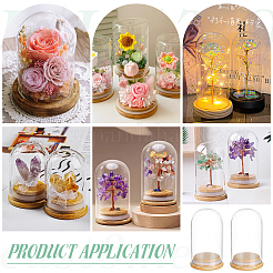 Стеклянный купол AJEW-WH0609-090