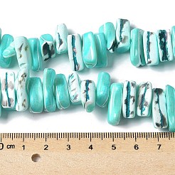 Gefärbte natürliche Trochus-Muschelperlenstränge&nbsp;X-SSHEL-C013-09M