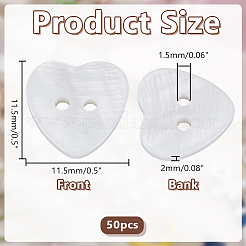 50 шт. пуговицы из натуральной ракушки с 2 отверстиями BUTT-AR0001-24