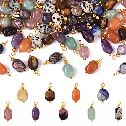 10 шт. подвески из натурального тигрового глаза&nbsp;PALLOY-YW00114-01