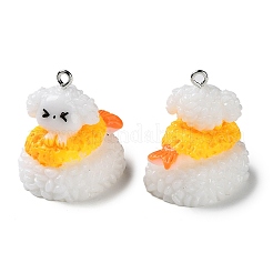 Непрозрачные подвески из искусственной смолы&nbsp;RESI-P031-A01