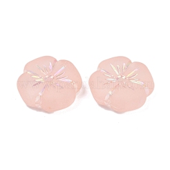 Матовые прозрачные акриловые бусины&nbsp;X1-OACR-P029-19B-02